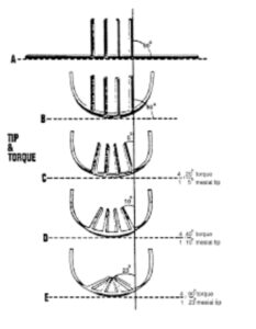 TIP & TORQUE